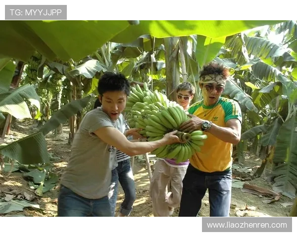 K8娱乐真人游戏提供多样化的互动玩法，让你在精彩纷呈的真人娱乐中尽情畅玩