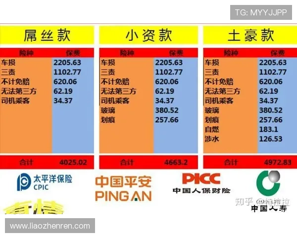 新手必看baccarist规则指南,详细介绍游戏流程、投注方式与获胜技巧